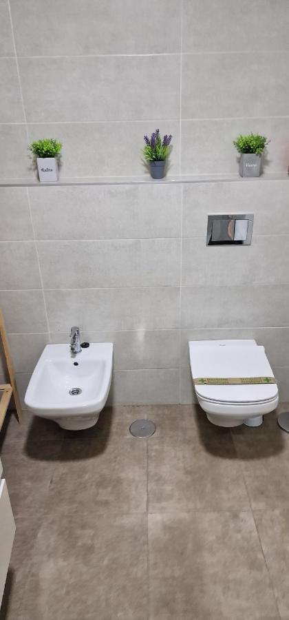 Appartement Estudio En Centro De Alicante Extérieur photo